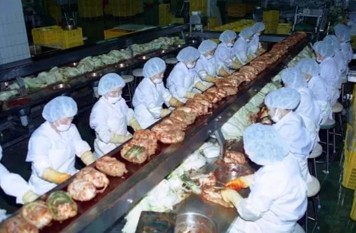 종가집 김치공장 생산라인 및 농촌 스케치