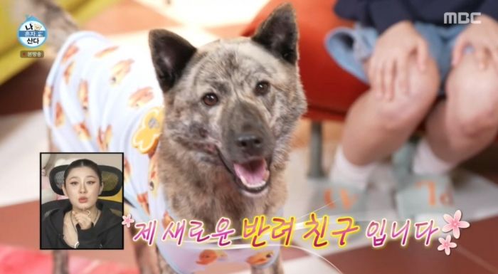 박나래, 이제 혼자 안 산다... 반려견 복돌이와 함께한 달라진 일상 (영상)