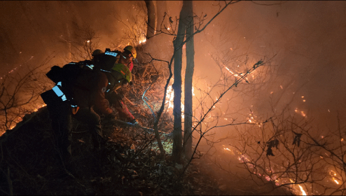 origin_양양산불진화하는소방대원들 (1).jpg