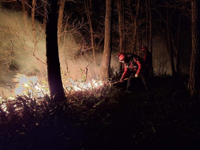 origin_양양산불진화하는소방대원들 (2).jpg