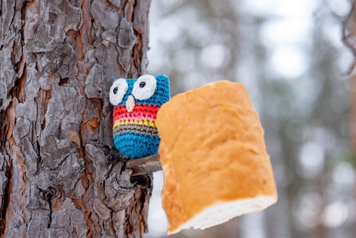 코 시린 겨울, 포근함을 더해주는 노래 5곡