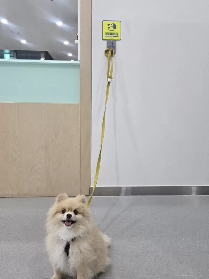 강아지주차장(도그훅) [사진=순천시]