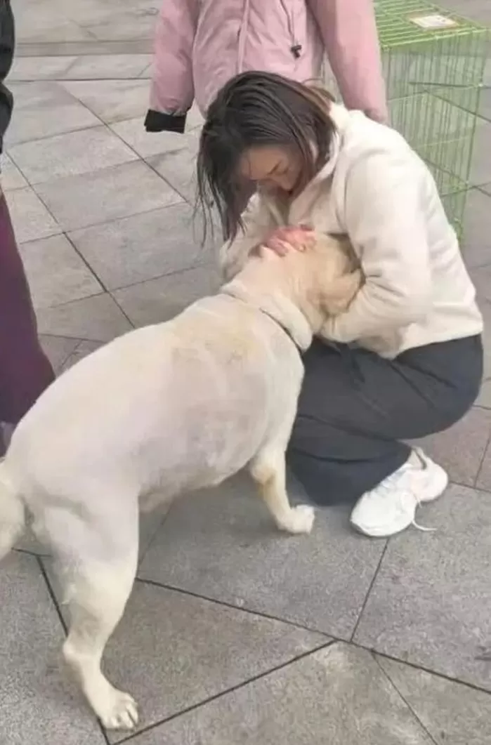3개월 만에 1500㎞ 떨어진 곳에서 발견된 반려견... 주인과 극적 재회