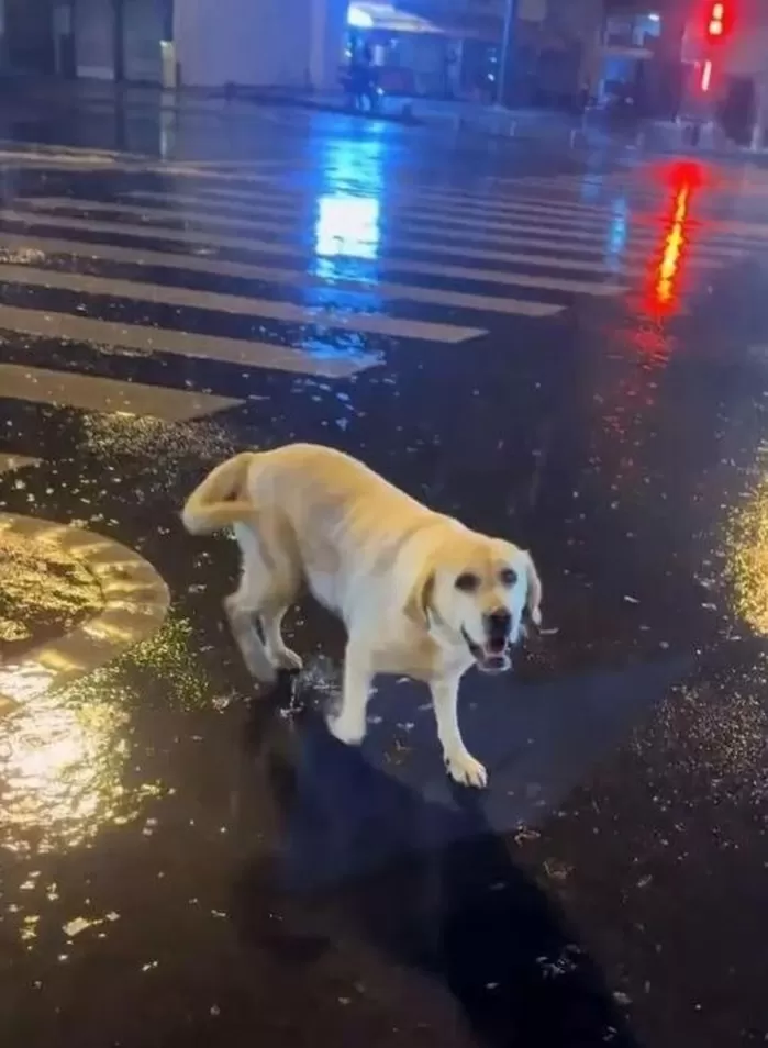 [뉴시스] 새벽 폭우 속을 떠돌던 셉템버의 모습. (사진 = SCMP 캡처) 2025.11.24. *재판매 및 DB 금지