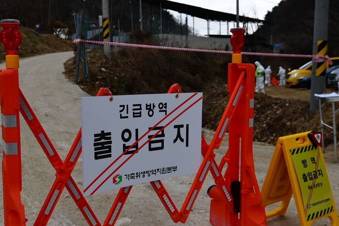 아프리카돼지열병 충남 첫 발생... 전국 위기경보 ‘심각’ 격상