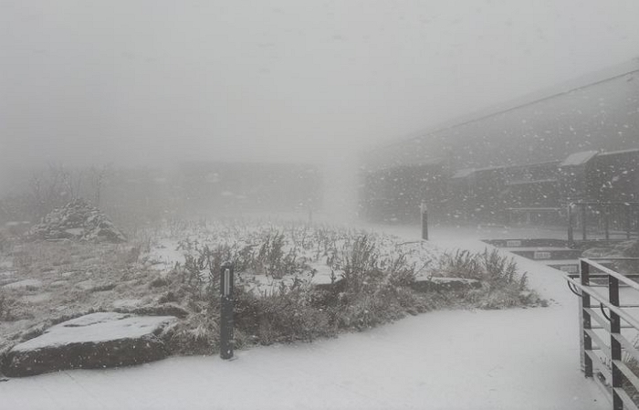 소백산 연화봉에 올해 첫눈... 해발 1383m에 ‘순백의 설경’ 펼쳐졌다