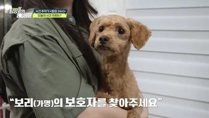 반려견 맡기고 3년째 잠적...“아프다고 연락 피하면서 SNS 프로필은 바꿔”