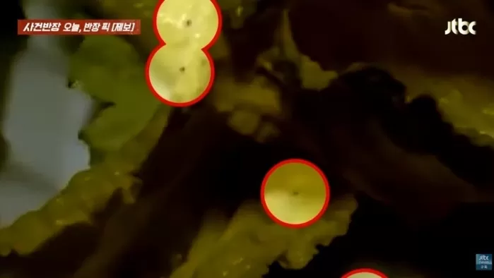 /사진=JTBC 사건반장