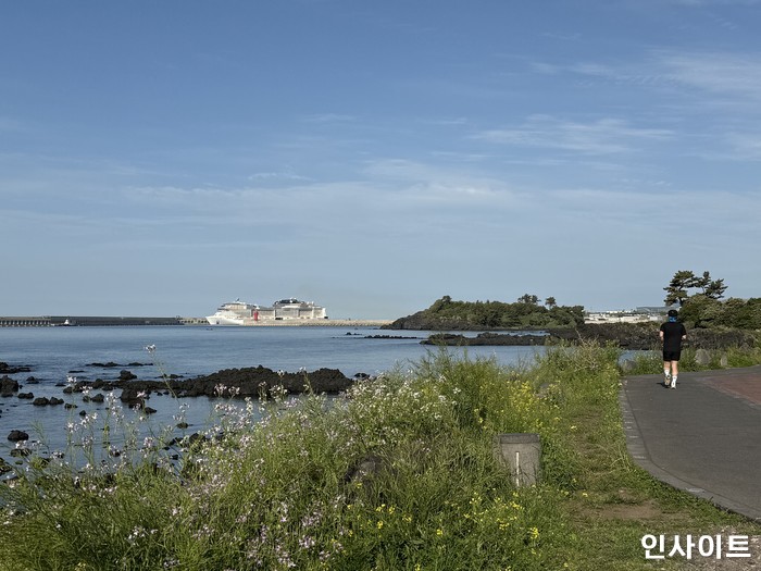 초보 러너 90%가 모르는 치명적 실수, 이렇게 뛰면 살 안 빠지고 건강만 나빠집니다