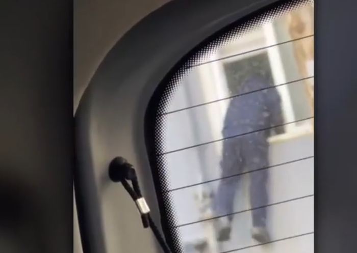 아파트 침입하려 배관 타던 절도범, ‘비번 소방관’에 딱 걸렸다