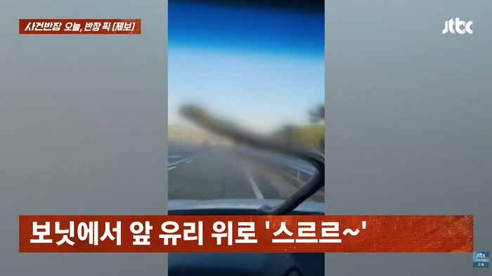 “달리는 차 유리 위로 스르륵”... 20분간 매달린 ‘2m 구렁이’와 아찔한 주행