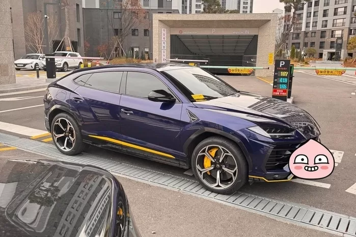 출처: 인터넷 커뮤니티