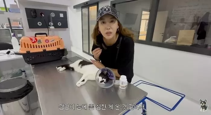 ‘암 투병’ 민지영, 유럽 여행 중 반려묘 응급실행... “병원 가길 잘했다”