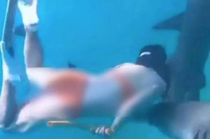 “생리 중이지만, 괜찮아”... 인생샷 찍으려 다이빙 했다가 상어에 ‘공격’당한 인플루언서