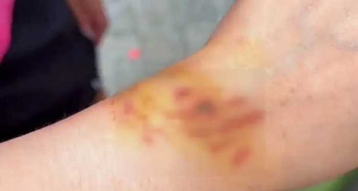 2025-12-04 09 17 15.jpg