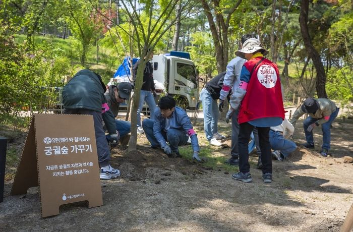 600년 궁궐에 되살아난 5740㎡ 숲... 유한킴벌리, 3년간 창경궁 궁궐숲 조성 사업 성료