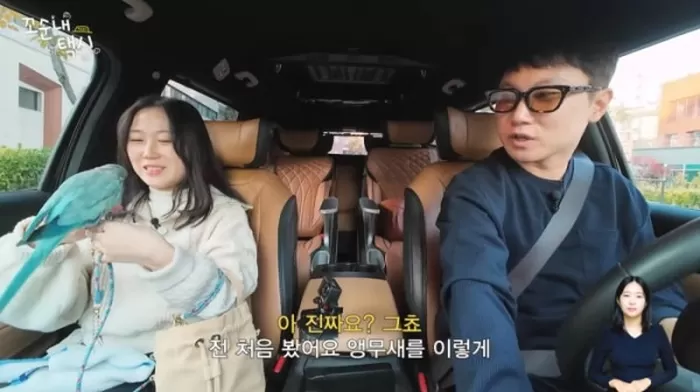 택시기사 된 빠니보틀... “안녕하세요” 인사하는 앵무새 손님에 심쿵