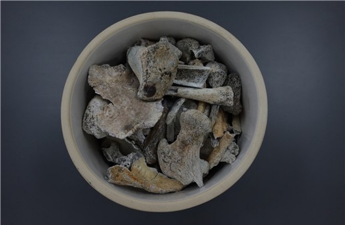 2005년 3월 경북 포항시 북구 흥해읍 학천리 도음산 정상에서 발굴된 故 정용환 일병의 유해 / 국방부유해발굴감식단