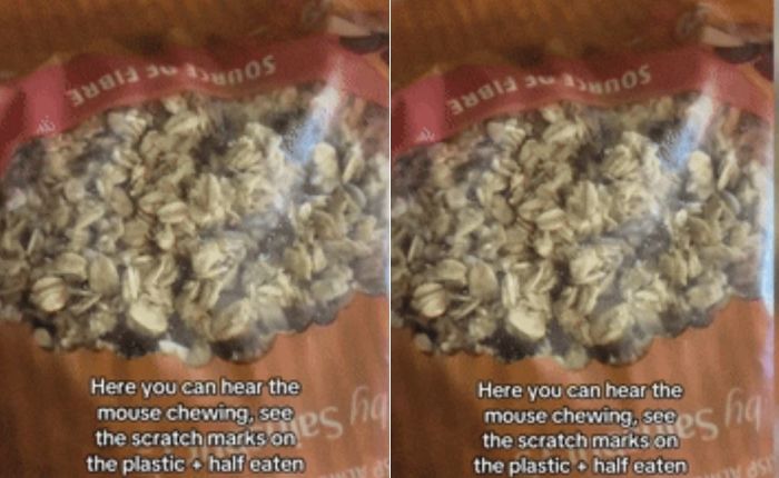 영국 대형 마트서 판매된 시리얼 속 ‘생(生)쥐’ (영상)