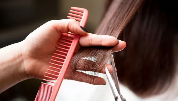 기사의 이해를 돕기 위한 자료 사진 / gettyimagesBank