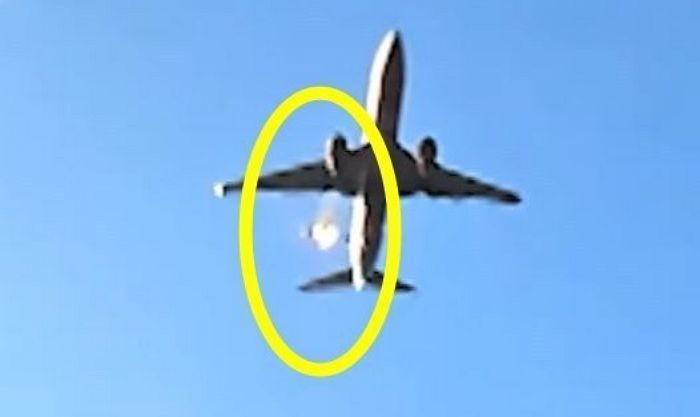 무안공항 참사 1년 만에... 정부, ‘조류 충돌’ 위험 평가 지침 마련