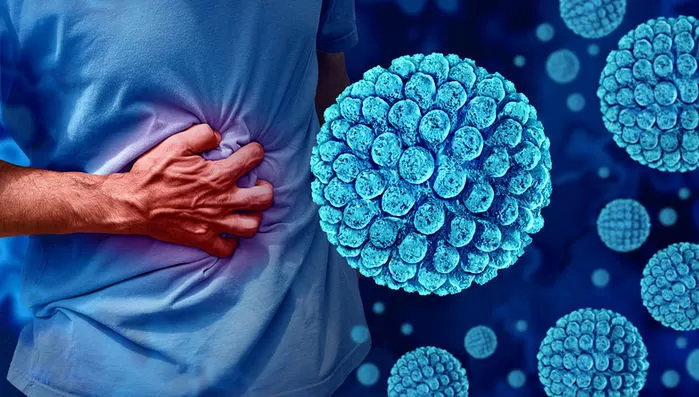 기사의 이해를 돕기 위한 자료 사진 / gettyimagesBank