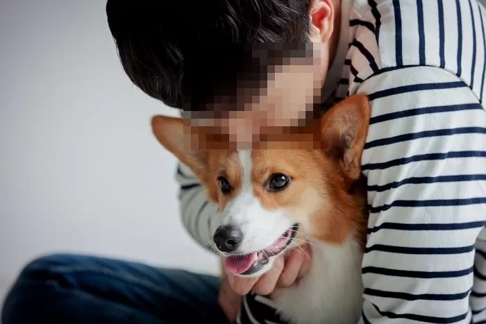 기사의 이해를 돕기 위한 자료 사진 / gettyimagesBank