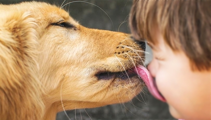 기사의 이해를 돕기 위한 자료 사진 / gettyimagesBank