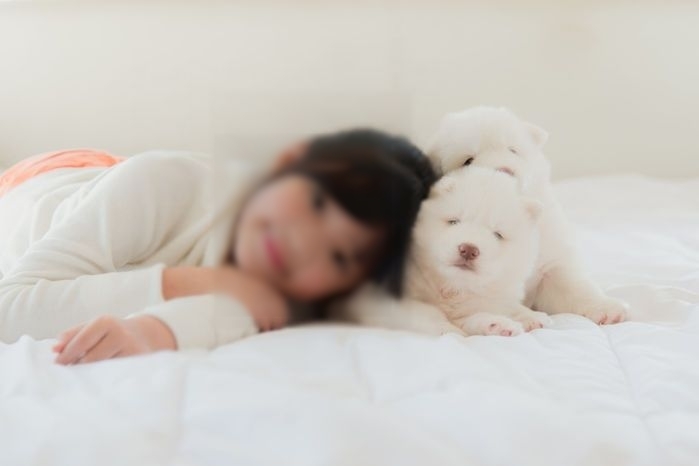 기사의 이해를 돕기 위한 자료 사진 / gettyimagesBank