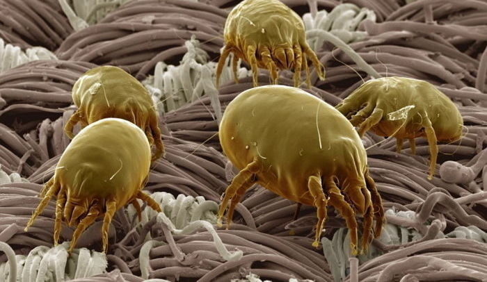 기사의 이해를 돕기 위한 자료 사진 / gettyimagesBank