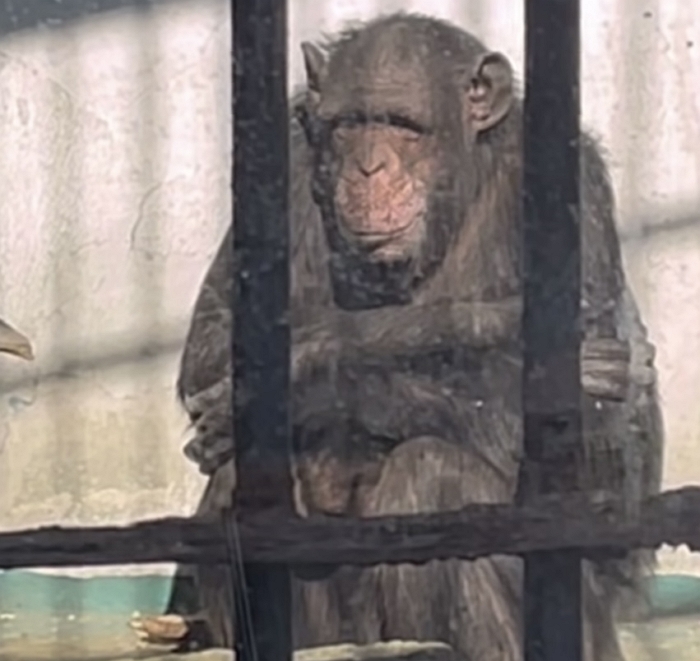 2025-12-14 15 50 33.jpg