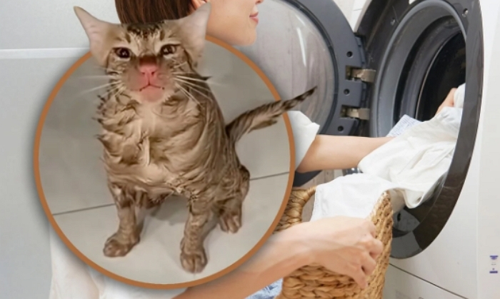 2025-12-16 14 49 48.jpg