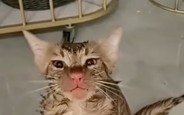 2025-12-16 14 49 10.jpg