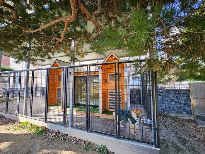 우리 강아지들이 이렇게 따뜻하게 겨울을 보낼 수 있도록 난방까지 설치되어있는 엄청나게 따뜻하고 안전한 집을 해주셔서 제 마음까지 행복해집니다❤️ 바닥 뜨끈하니 애들 꿀잠자는.jpg