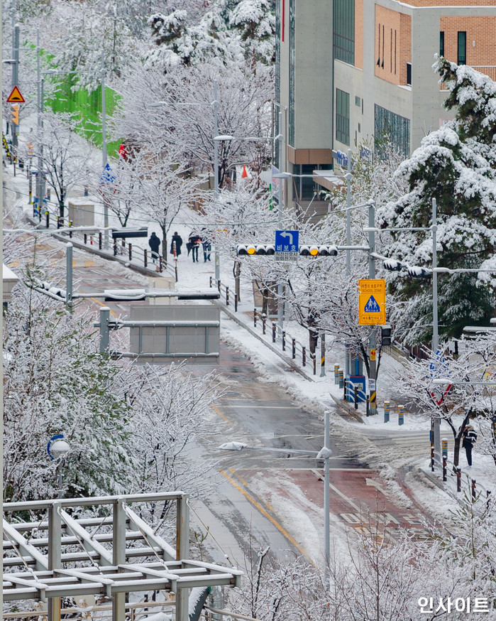 기사의 이해를 돕기 위한 자료 사진 / 사진=인사이트