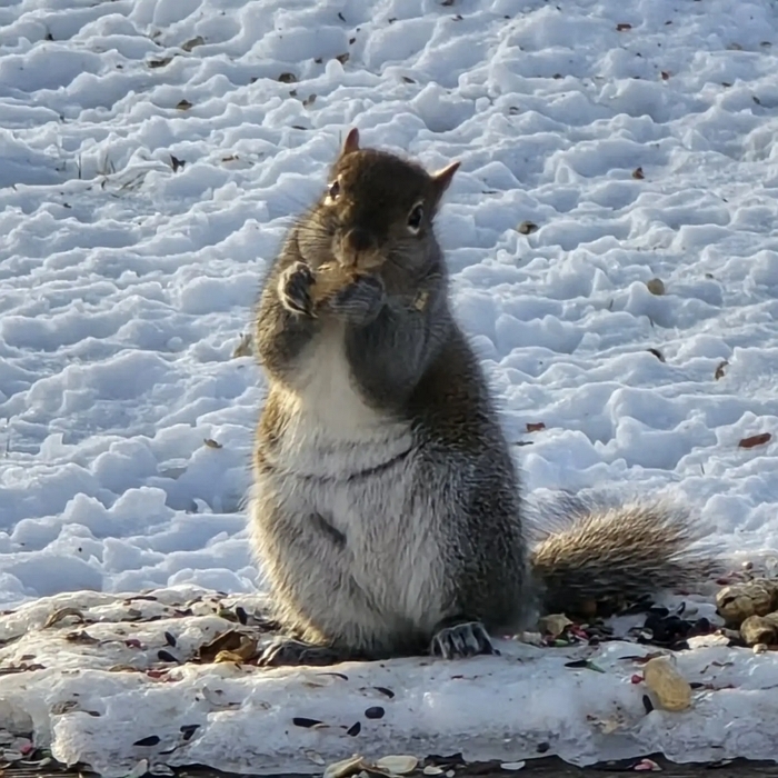 facebook 'jess.ferrel'