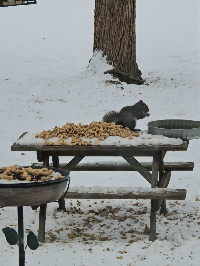 facebook 'jess.ferrel'