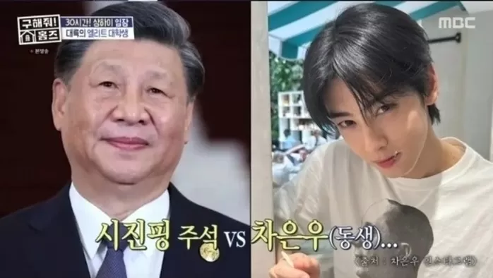 ‘얼굴천재’ 차은우 동생, 중국 명문대→대기업→스타트업 이력 공개 화제