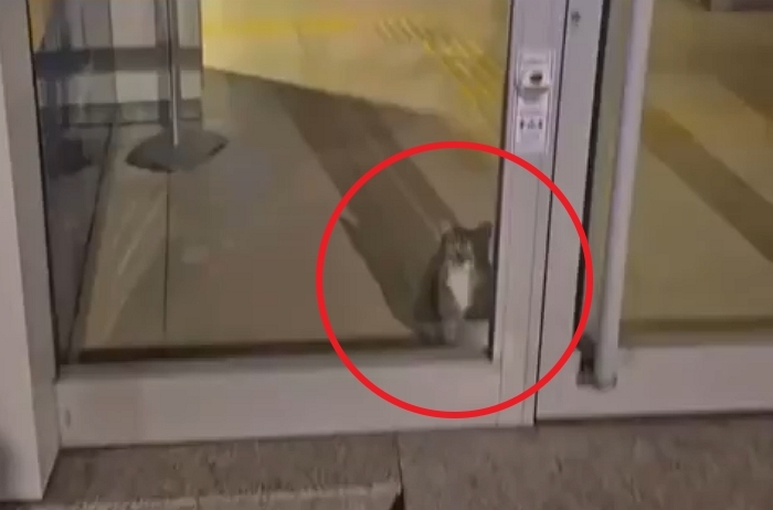 2025-12-19 10 25 22.jpg