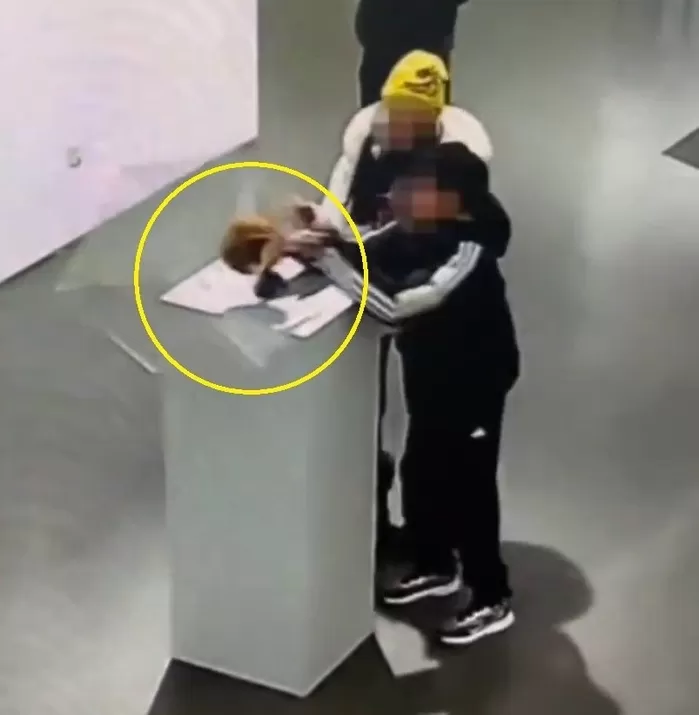 아이로 인해 떨어지는 4억원대 금관. X(구 트위터) 캡처