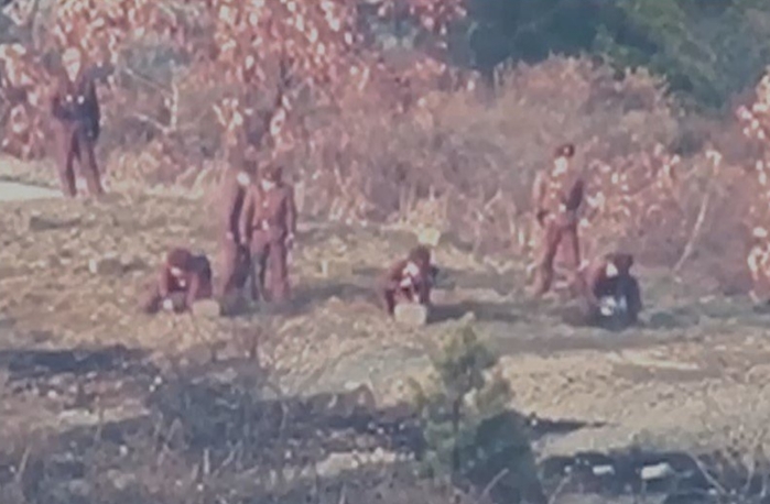 북한군, 지난달에만 10차례 군사분계선 침범... 지뢰 매설 정황도