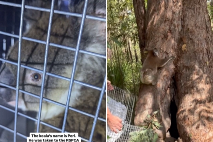 2025-12-22 09 11 59.jpg