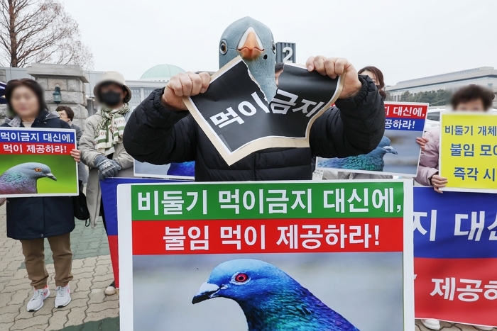 origin_동물권단체비둘기먹이주기금지대신불임먹이촉구.jpg