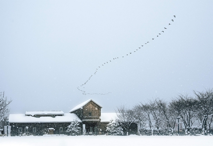 눈내린 상하농원 전경.jpg