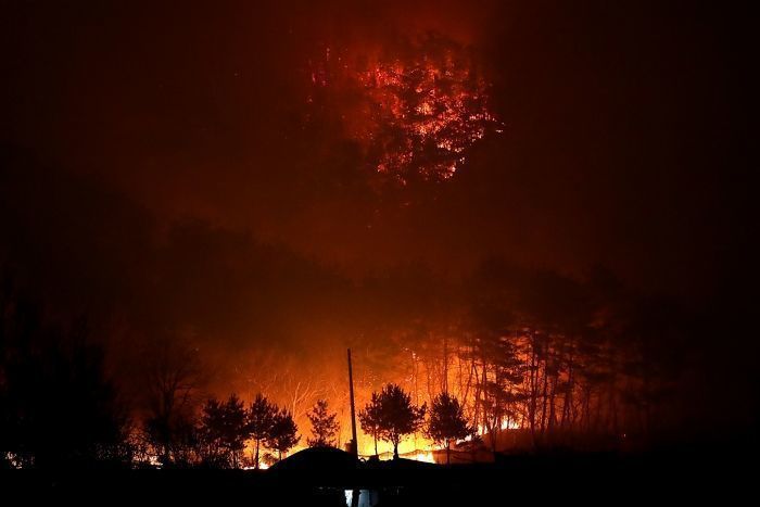 ‘대형 산불’ 애도기간 속, 근무시간에 술 마신 소방서장 ‘무징계’