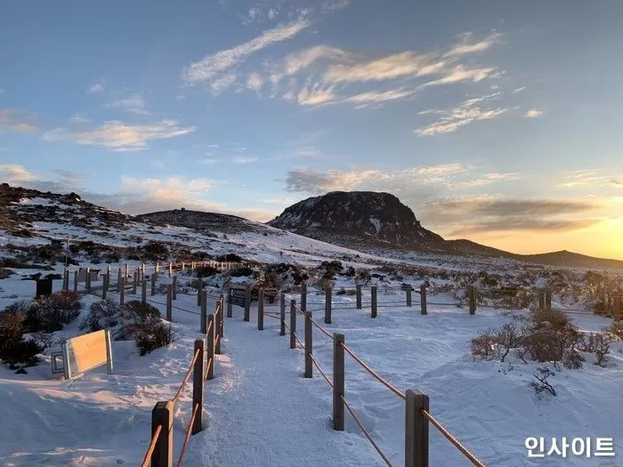 제주 여행객들, 폭설에 발 동동... 한라산에 112cm 눈폭탄, 30cm 더 온다