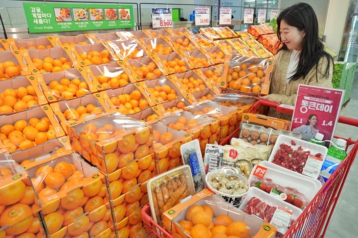 사진2. 롯데마트 통큰데이 홍보 이미지 2.jpg