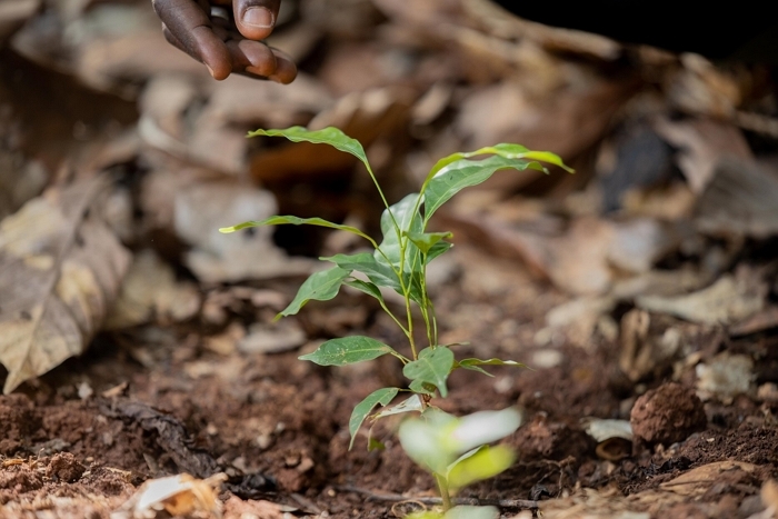 [사진자료] 네슬레코리아, 커피부터 초콜릿까지 지속가능성 선순환 구현 앞장.jpg