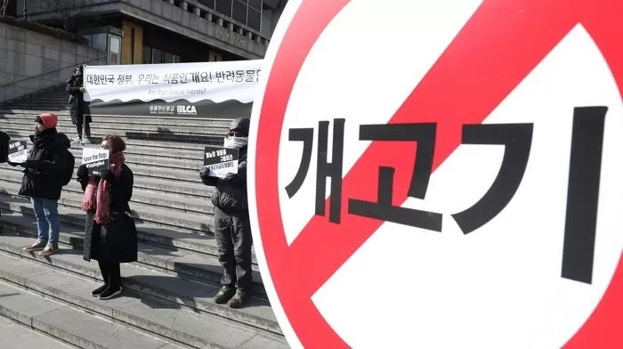 기사의 이해를 돕기 위한 자료 사진 / 뉴스1