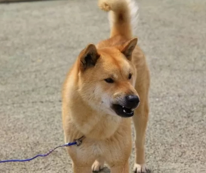 기사의 이해를 돕기 위한 자료 사진 / gettyimagesBank